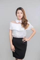 合飛亞裝飾葉三秀